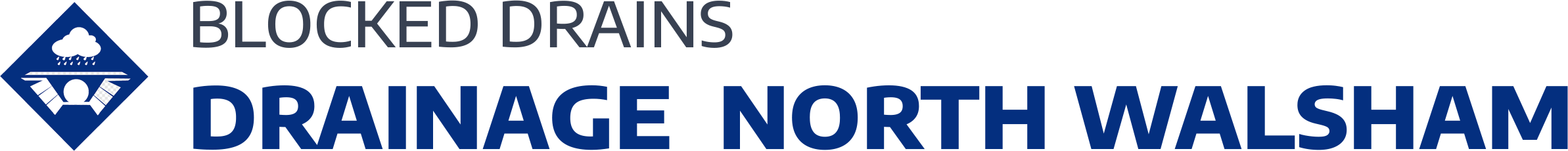 website logo